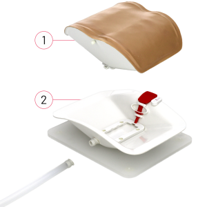 10 RealSpine Basic Endo – Starter Kit