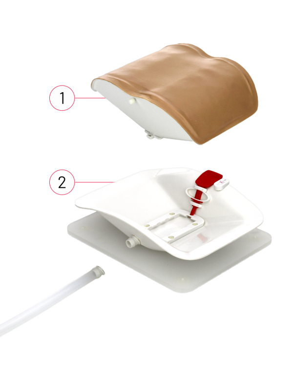 10 RealSpine Basic Endo – Starter Kit
