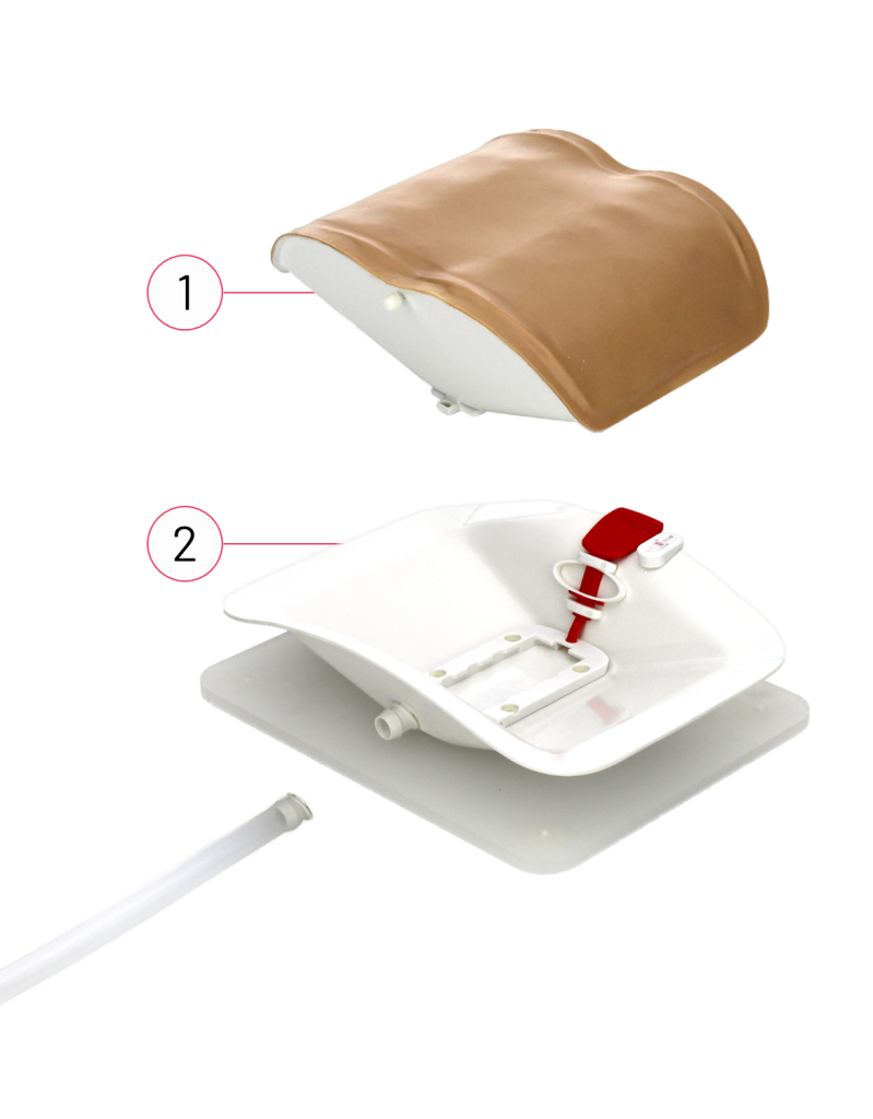10 RealSpine Basic Endo – Starter Kit