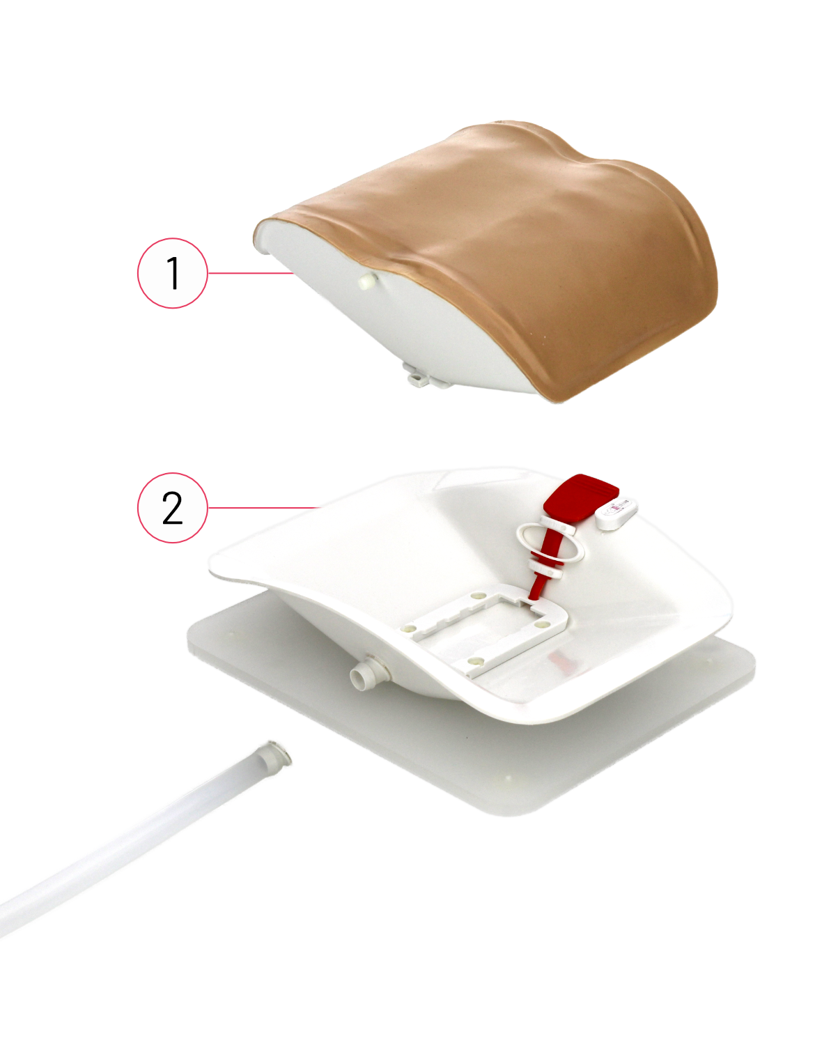 10 RealSpine Basic Endo – Starter Kit