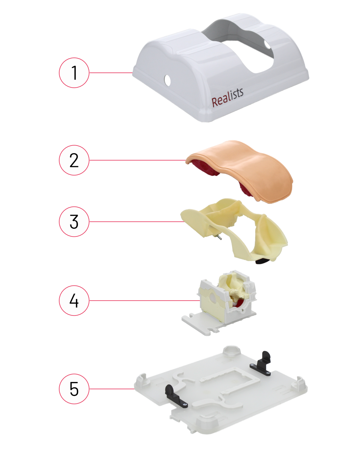 4 RealSpine Basic MISS - Herniated Disc L4/L5 - Starter Kit - Image 2
