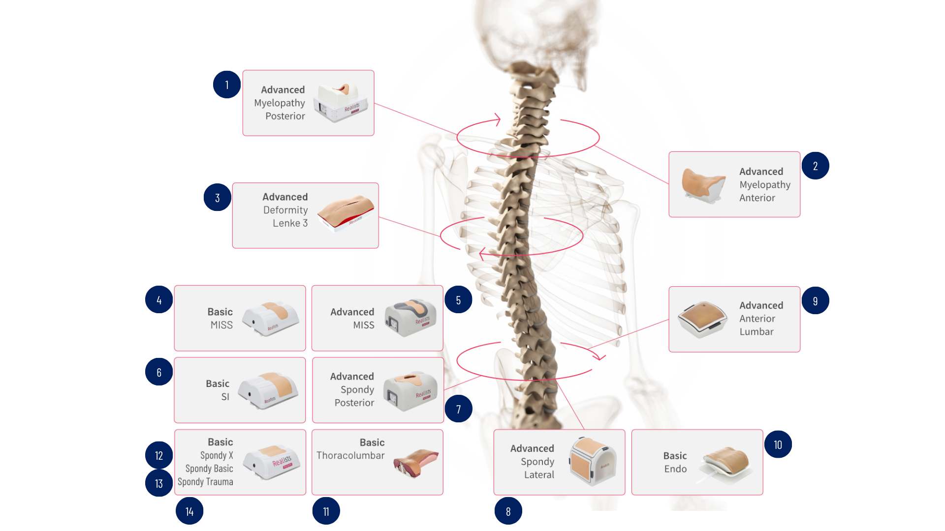 Realists Realspine RealSpine - REIG Perú | Simulación médica avanzada by Realists