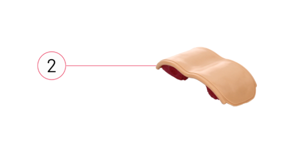 RealSpine Basic MISS – Piel y Músculo Replacement