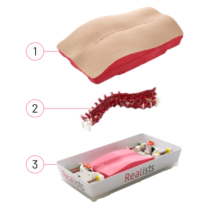 3 RealSpine Deformity - Lenke 3 Th1-L2 - Starter Kit