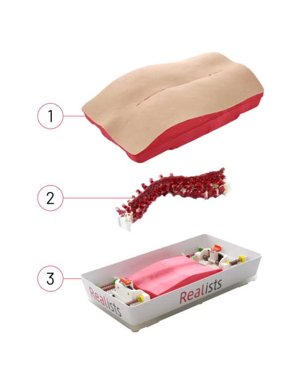 3 RealSpine Deformity - Lenke 3 Th1-L2 - Starter Kit