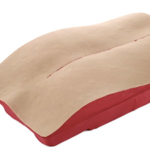 RealSpine Deformity Piel y Musculo – Replacement