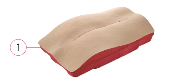RealSpine Deformity Piel y Musculo – Replacement