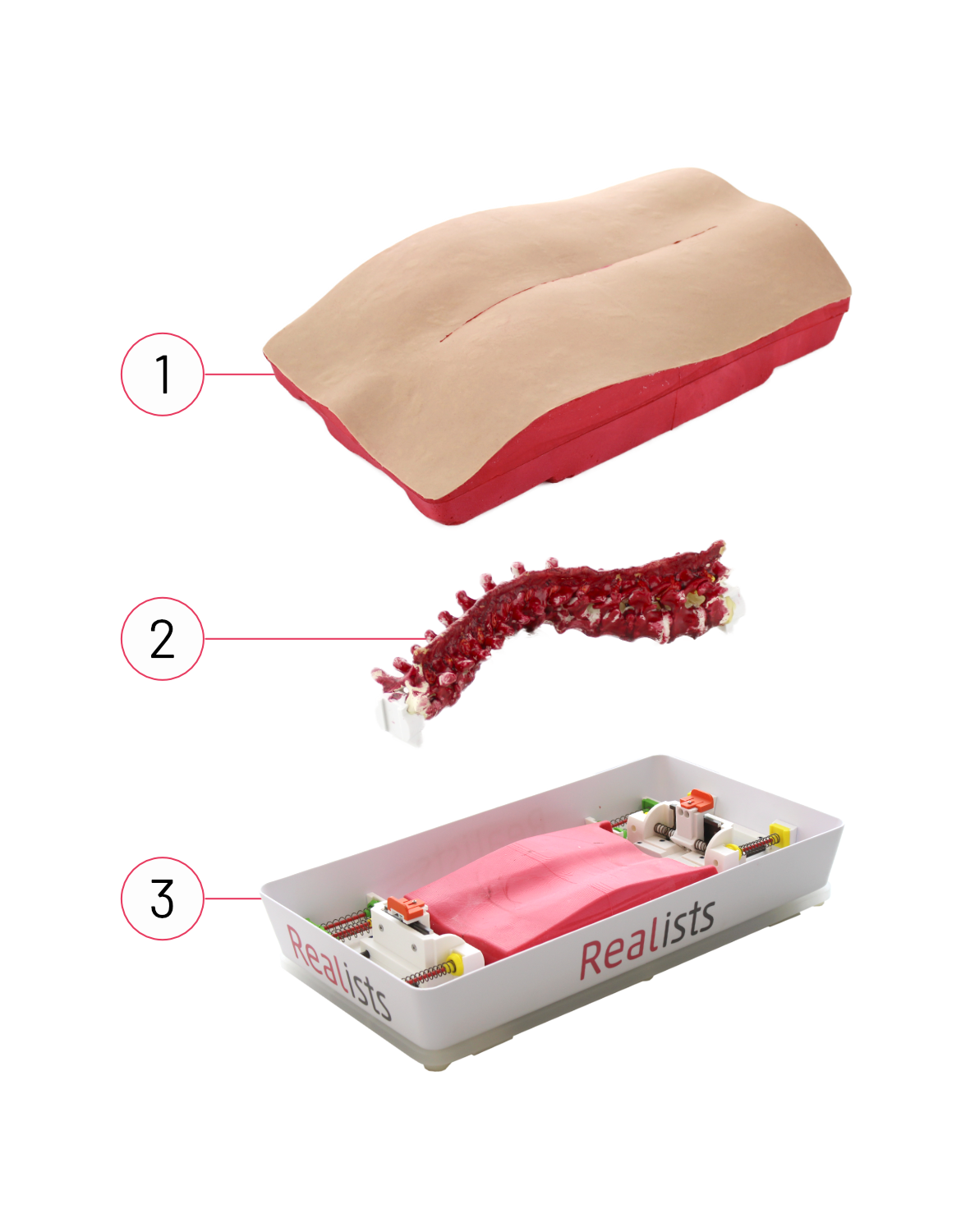 3 RealSpine Deformity - Lenke 3 Th1-L2 - Starter Kit
