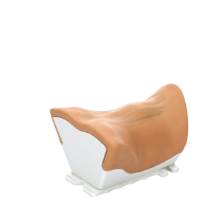 RealSpine Advanced – Myelopathy Anterior C3/T1 – Replacement Cartridge