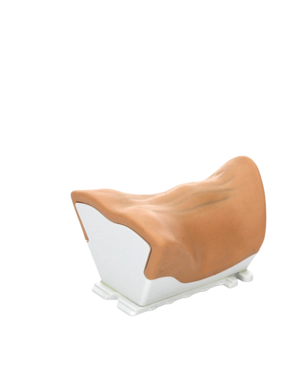 RealSpine Advanced – Myelopathy Anterior C3/T1 – Replacement Cartridge