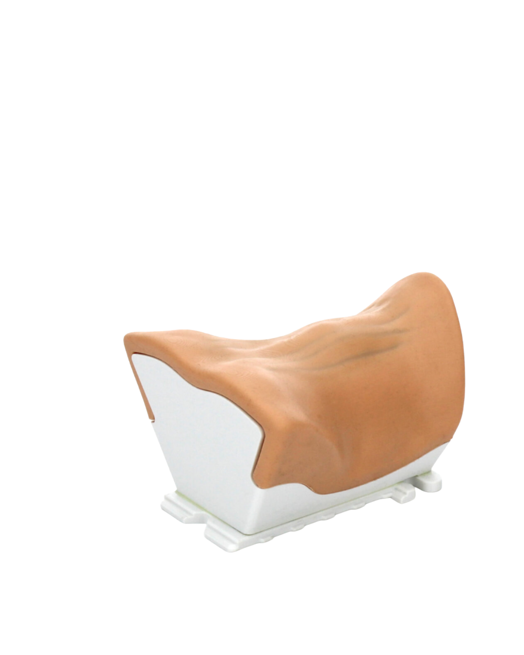 RealSpine Advanced – Myelopathy Anterior C3/T1 – Replacement Cartridge