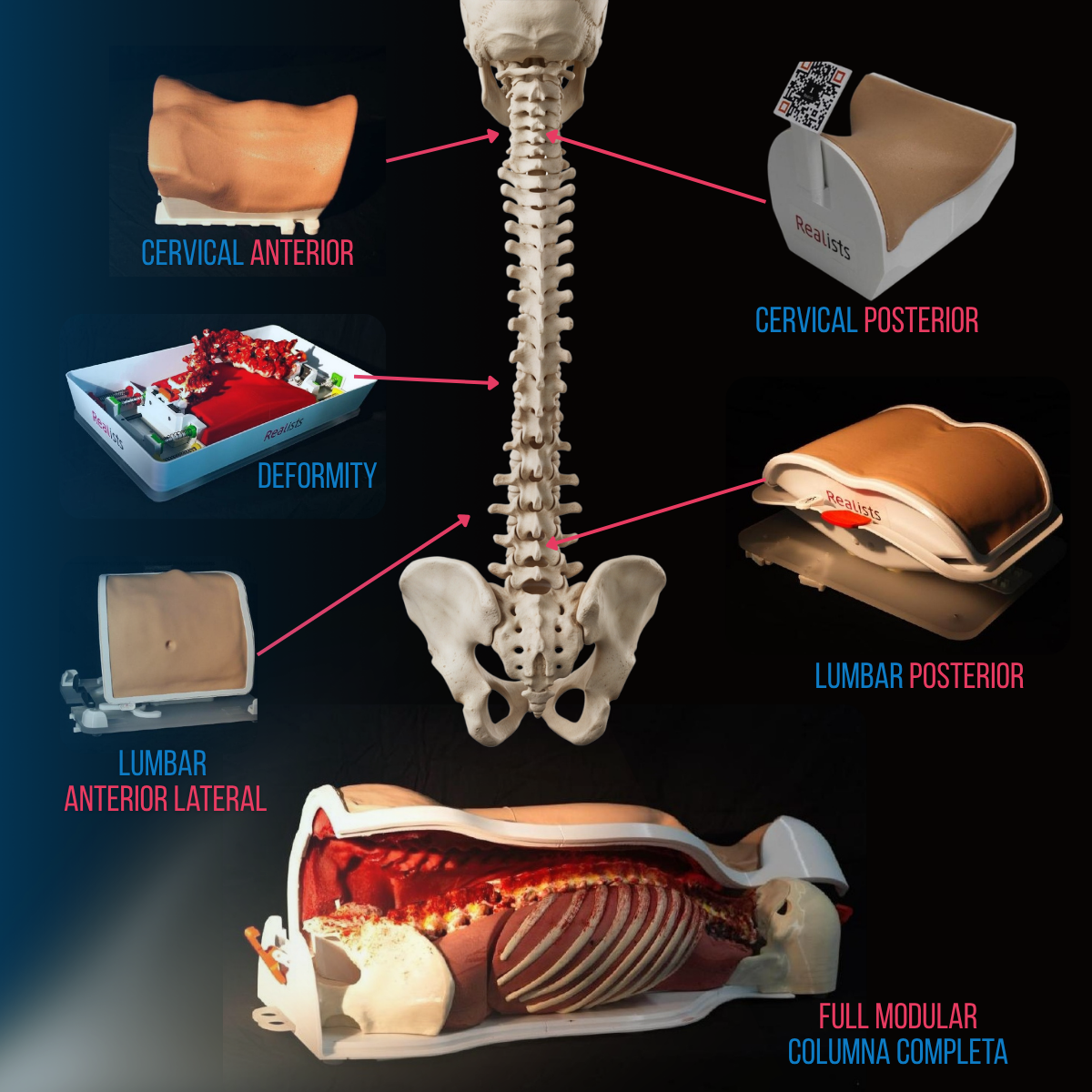 Portafolio completo de simuladores RealSpine de Realists para entrenamiento de columna