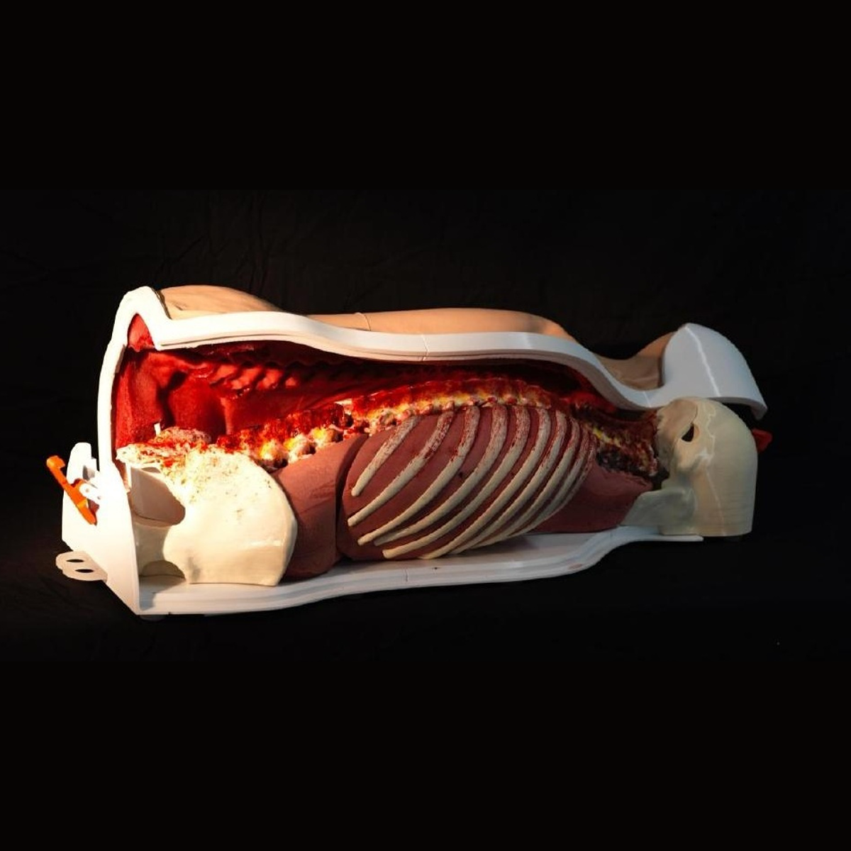 RealSpine Full Modular